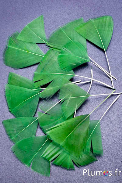 Petali in piume - 6-8 cm x 3-4 cm - verde muschio